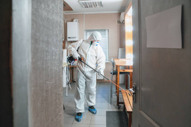 Best Real Estate Mold Inspection  in Washington Heights, NY